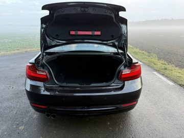 BMW Seria 2 F22-F23-F45-F46 Coupe 220i (Euro 6) 184KM 2016 BMW 220 2.0i 184KM 68tys.km. Navi Bezwypadkowy, zdjęcie 30