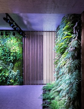 Зеленое настенное освещение 2x VERTICANA 45° 1M на расстоянии до 2 метров