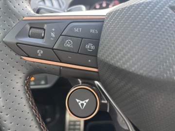 Cupra Terramar SUV 1.5 eTSI 150KM 2025 Cupra Terramar 1.5 eTSI 150 KM 7-biegowa automatyc, zdjęcie 21