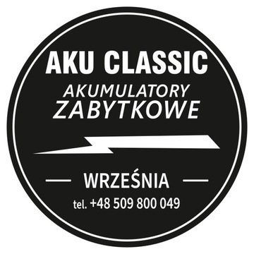 ВИНТАЖНАЯ ЭБОНИТОВАЯ АККУМУЛЯТОРНАЯ БАТАРЕЯ 6В 8Ач ТИП B49-6