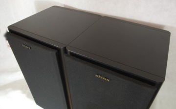 Sony APM-22ES, стереодинамики
