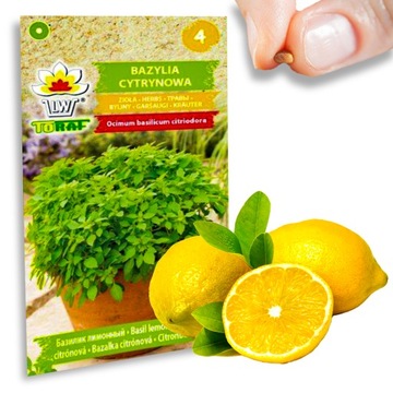 Nasiona ziół Bazylia cytrynowa aromatyczna