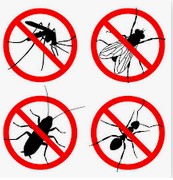 БУМАГА ДЛЯ НАСЕКОМЫХ-МУХ В РУЛОНЕ CIT 3D 10CMX7M KERBL