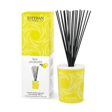 DYFUZOR ZAPACHOWY 100 ml Terre d'agrumes Esteban