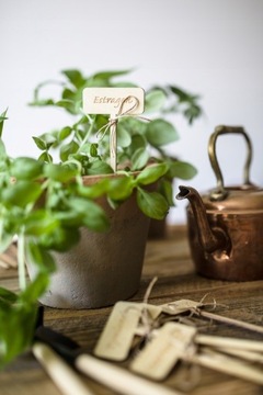 Тег Тег Сад Тег Сад Ваш текст