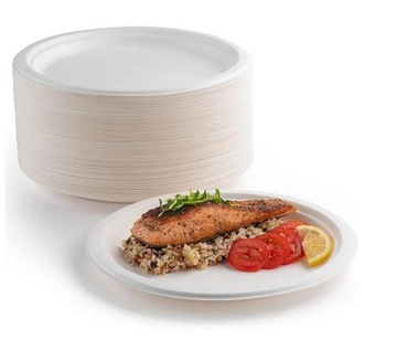 Talerz papierowy 26cm niedzielony EKO BIO 50szt