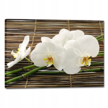 OBRAZ NA PŁÓTNIE DO SALONU NOWOCZESNY KWIATY ORCHIDEA BAMBUS 100x70
