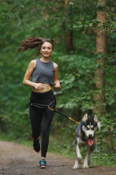 КОМФОРТНЫЙ НАбедренный ремень Caniccross с 3-мя полюсами