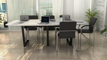 Стол для переговоров MEDISON 250x138см