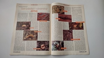 Дзялковец 11 1997 г.