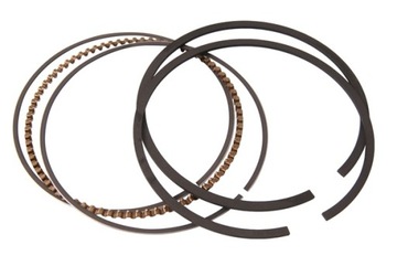 PIERŚCIENIE BRIGGS B&S QUANTUM 68,3 mm 499425