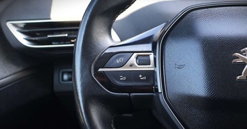 Peugeot 3008 II Crossover 1.2 PureTech 130KM 2017 Peugeot 3008 (Nr.284) 1.2 THP 130 KM Navi Kamera Tempomat Klimatyzacja Gwa, zdjęcie 22