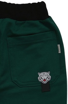 Spodnie DRESOWE chłopięce DRESY GAMET 104 butelka