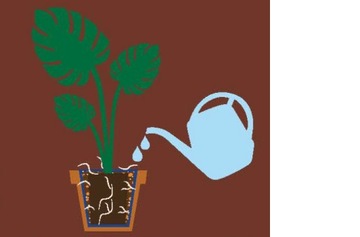 ПОЧВА ДЛЯ МОНСТЕРЫ - ГОТОВЫЙ СУБСТРАТ МОНСТЕРА С SERAMIS WESTLAND ОБЪЕМОМ ДО 16 Л