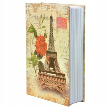 МЕТАЛЛИЧЕСКАЯ КАССЕТА, ДЕНЕЖНАЯ КНИГА, СЕЙФ, ШКАФНИК