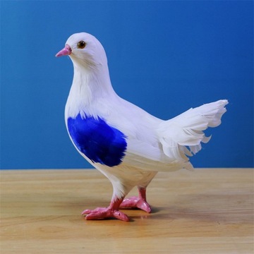 Искусственная модель голубя. Реалистичная фигурка голубя.