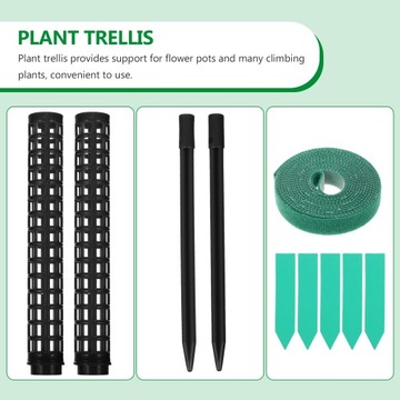 Угольные растения Монстера Столбы Мох Сфагнум
