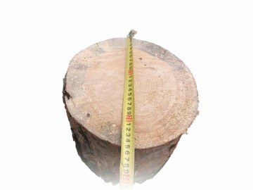 Pień do ogniska pieniek ogrodowy SOSNA klocek średnica 25 cm wysokość 50 cm