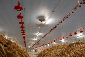 Синие изоляционные панели STYRODUR XPS AGRO 80 мм