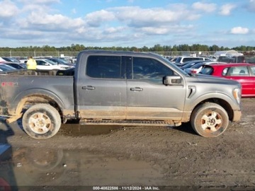 Ford 2023 Ford F150 2023 Ford F-150 XL 4WD SuperCrew 5.5 Box 5.0 Benzyna 400KM, zdjęcie 8