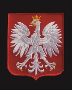 Трикотажные шорты Nike Park POLSKA III