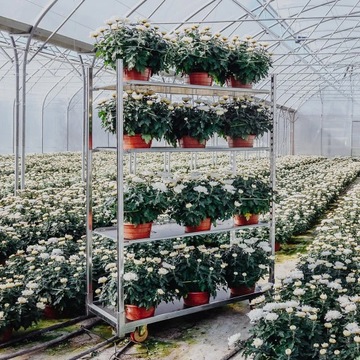 WÓZEK KWIATOWY duński regał na kwiaty podstawa + 3 półki Mega-M 4 POZIOMY