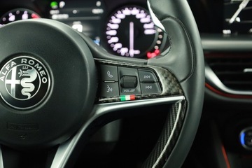 Alfa Romeo Stelvio SUV 2.0 Turbo 280KM 2019 Alfa Romeo Stelvio 2.0 Turbo Q4, Salon Polska, zdjęcie 17