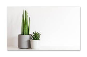Szkło hartowane do kuchni na ścianę 100x60 cm PAN
