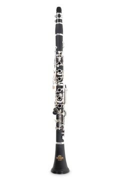 Roy Benson RB700460 Klarnet w stroju Bb CG-220