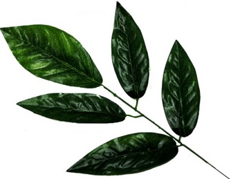 LIŚĆ ZIELONY 62 cm