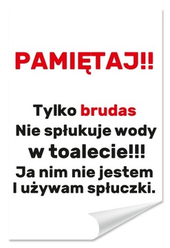 Naklejka DO TOALETY - PAMIĘTAJ! TYLKO BRUDAS 30x20 Samoprzylepna