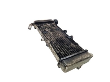 Aprilia RS4 125 COOLER