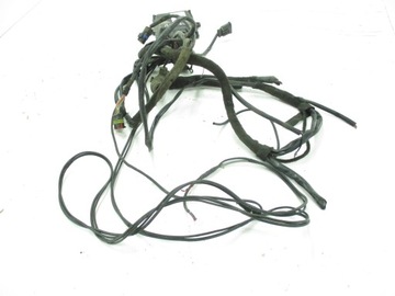 Компьютер-контроллер жгута проводов сжиженного нефтяного газа Landi Renzo EVO