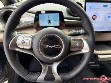 BYD 2023 BYD Dolphin Auto Punkt 1.2 Elektryczny 95KM, zdjęcie 11