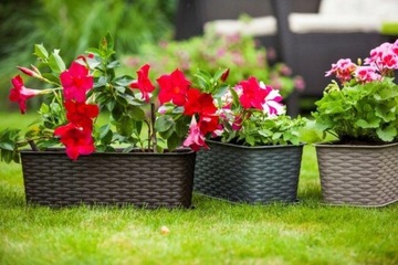 БАЛКОННЫЙ ЦВЕТОЧНЫЙ ГОРШОК ПОДНОС ИЗ РОТЕГА 60 СМ