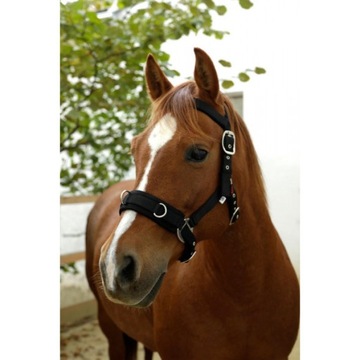 Kawecan do lonżowania, rozm.FULL