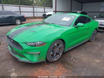 Ford Mustang VI 2019 Ford Mustang 2019r, Ecoboost, 2.3L 2.3 Benzyna 310KM, zdjęcie 2