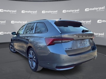 Skoda Octavia IV 2026 Skoda Octavia Sportline 2.0 TSI 204KM DSG 4x4, zdjęcie 2