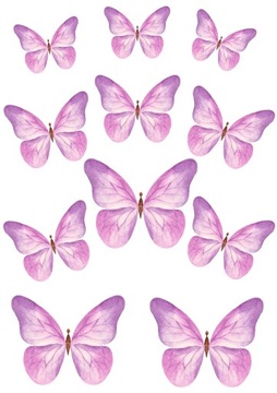 WAFLOWE MOTYLE MOTYLKI NA TORT 3D 11szt [3-5,5cm]