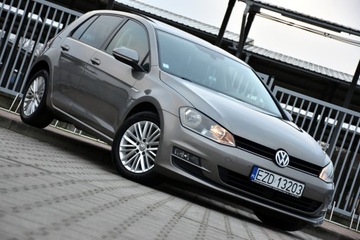 Volkswagen Golf VII Hatchback 3d 1.6 TDI-CR DPF 105KM 2014 Volkswagen Golf VII CUP Edition 1.6TDI 105KM 5drzwi ACC BOGATA Wersja 2014r, zdjęcie 6