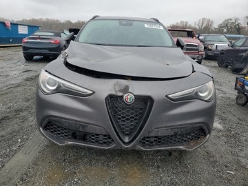 Alfa Romeo Stelvio 2021 Alfa Romeo Stelvio Sport 2021 2.0l 2.0 Benzyna 280KM, zdjęcie 5