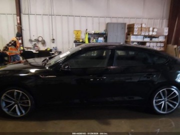 Audi A5 B10 2024 Audi A5 Sportback Premium 45 Tfsi S Line Quattro S Tronic 2024 2.0 Benzyna, zdjęcie 2