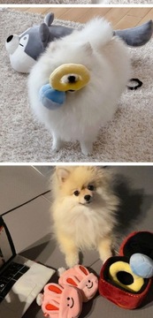 Креативная коробка для колец, плюшевые игрушки, забавные подарки для детей