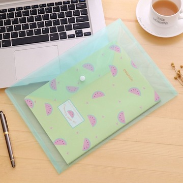 ОДНА ПРОЗРАЧНАЯ ПАПКА С ФАЙЛАМИ