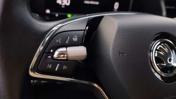 Skoda Kamiq Crossover 1.0 TSI 110KM 2021 Skoda Kamiq Ambition 1.0 TSI 110KM DSG Ssalon PL Klimatyzacja Podgrz. f, zdjęcie 10