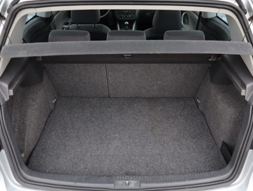 Volkswagen Golf V Hatchback 1.9 TDI 105KM 2007 VW Golf 1.9 TDI, 4X4, Klima, zdjęcie 13