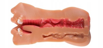 МАСТУРБАТОР ДЛЯ МУЖЧИН 3В1 ИСКУССТВЕННАЯ ВАГИНА МУЖСКОЙ АНУС РОТ 19см АНАЛ