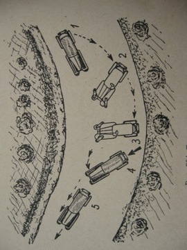 Современный автомобиль, Wydawnictwo Kommunikacyjne Адам Тушинский, 1953 год.
