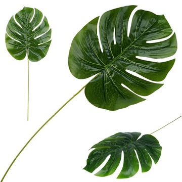 ОДНОЛИСТОЧНЫЙ МОНСТРИЯ БОЛЬШИЕ ЛИСТЬЯ ДЛЯ БУКЕТА КРЕМОВЫЕ ДЛИННЫЕ 58 см