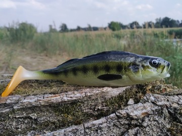 SEWRO CUSTOM BASS 18 cm